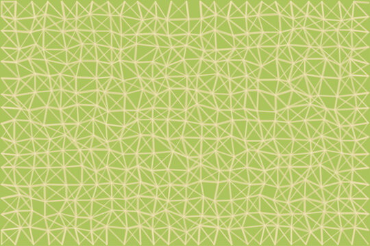 Netted melon rind pattern background