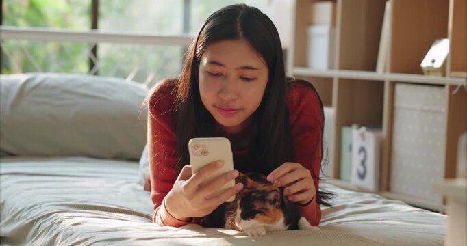 Woman Hand Using Smartphone while Stroking Calico Cat Head on Bed, Dreamy Lifestyle and Bonding, set in a dreamy. sunlit bedroom atmosphere. 