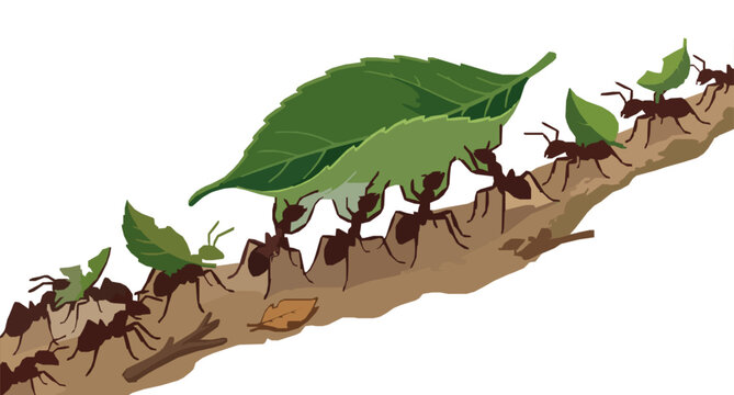 Hardworking ants carrying leaves teamwork and cooperation vector illustration