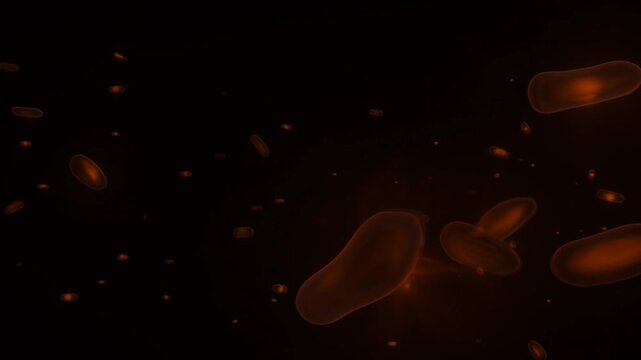 Red Blood Cells in Black Void: An intriguing visual of red blood cells gracefully suspended within the dark expanse. Reflecting the beauty of the human body and the mysteries of life.