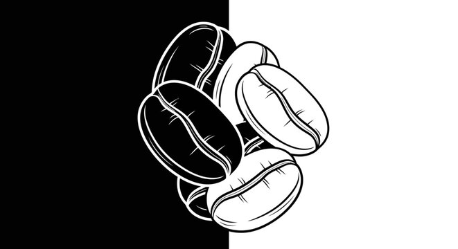 Outline Style Coffee Beans Pattern on Split Black and White Background, Minimalist Food Design.
