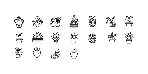 Icon set collection of various berry types and fruit plants, including strawberries, blueberries, raspberries, grapes, and citrus fruits in linear botanical illustrations. © Raka Firdaus 