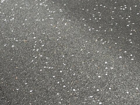 アスファルトの上の桜花びらテクスチャ