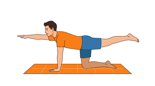 Man practicing bird dog exercise on orange mat strengthening core and improving balance isolated on white background