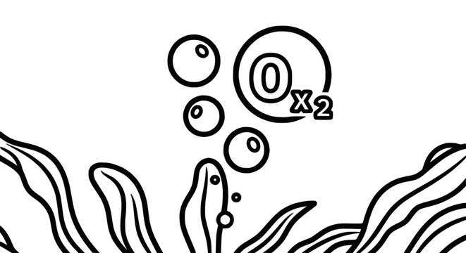 Underwater oxygen bubbles rising from aquatic plants, simple line art illustration