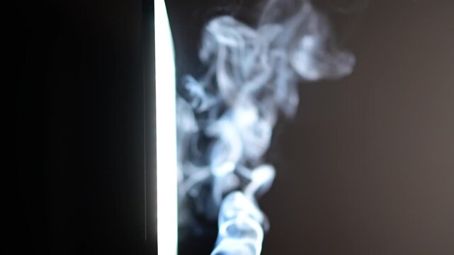 Burning sage up close in natural light with smoke in the frame	