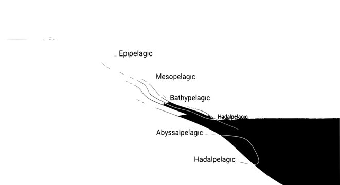 Oceanic Zones Diagram: Epipelagic to Hadalpelagic Depths