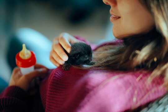 Woman Holding Tiny Newborn Kitten To Her Chest For Bottle-Feeding. Lady cradling miniature orphaned feline needing milk nourishment at animal shelter