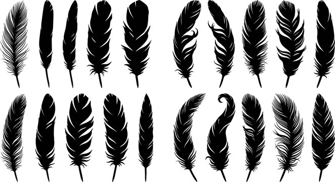 Collection of black feather silhouette vector illustrations featuring bird plumage decorative nature elements isolated on white background.