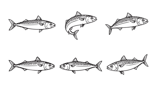 Mackerel fish hand-drawn vector illustration icons with mackerel wildlife illustration collection background isolated minimalist ingredient swimming