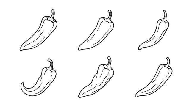 Collection of six hand-drawn chili pepper illustrations in black and white with vegetable illustration ingredients botanical minimalist isolated background