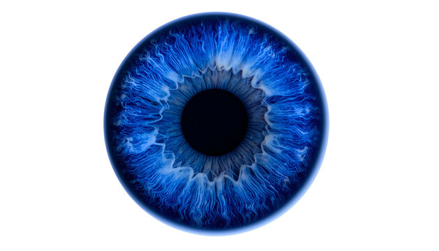 Vivid blue human eye, intricate iris patterns, and dark pupil centered