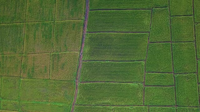 Cinematic aerial rotation shot over a quiet village and expansive agricultural plots Features a smooth transition from local infrastructure to a wide mountain horizon in a majestic eastern district