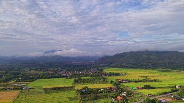Cinematic aerial shot of ultra green farming plots and organic patterns Features intense emerald colors and productive rice plantations in a quiet and healthy eastern regional district