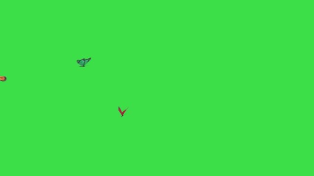  Realistic Butterflies Animated Green Screen Video.