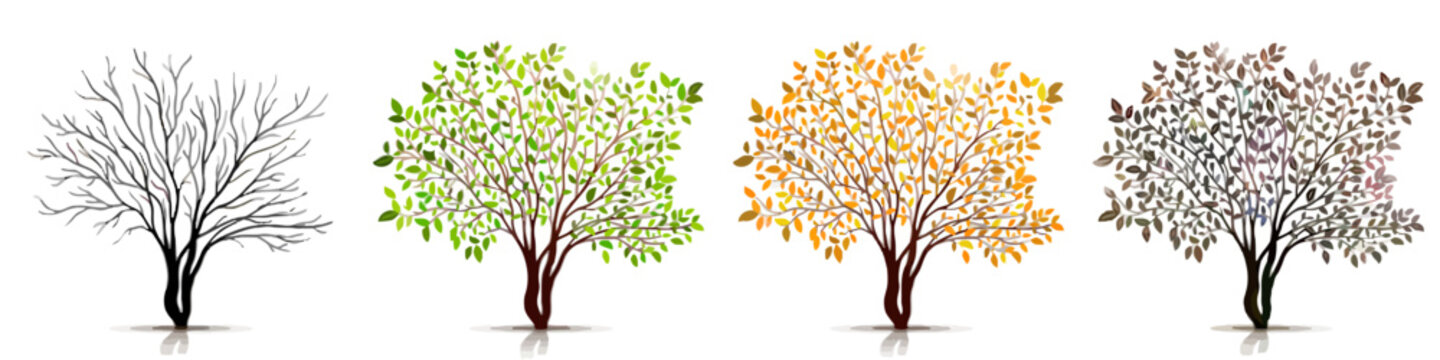 Four seasons trees in vector style, seasonal transformation concept