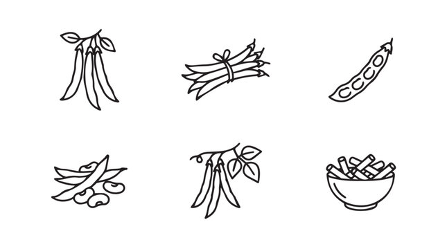 Set of bean and legume illustrations with hand drawn line art black and white vegetable illustration minimalist botanical foodstuff representation
