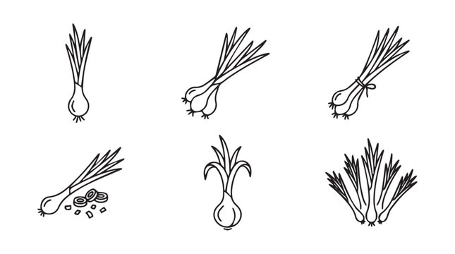 Scallions and spring onions illustration set with hand drawn scallions vegetable ingredient nutrition vitamins collection illustration minimalist background isolated