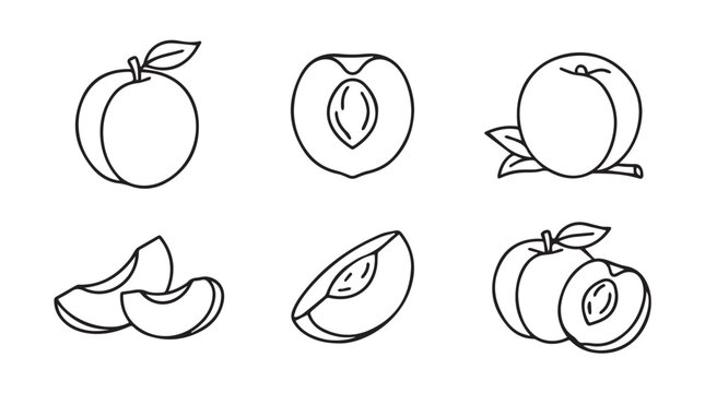 Peach variety pack: whole sliced cut illustrations with line art illustration collection nutrition minimalist