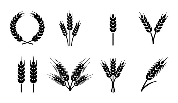 Wheat Stalk Icons, Grain Ears Vector Set, Agricultural Harvest Symbols, Organic Food Emblem Collection