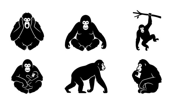 Gorilla Icons Set, Primate Silhouettes Collection, Ape Vector Graphics for Wildlife and Zoo Themes