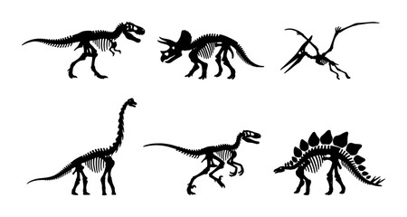 Dinosaur Skeletons Collection, Prehistoric Paleontology Vector Icons, Ancient Reptile Fossils Set, Educational Science Graphics © Nadiya