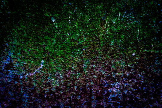 Gritty dark mossy concrete wall texture background with vibrant green algae and weathered aged stone surface, ideal for moody abstract backgrounds or industrial urban designs.