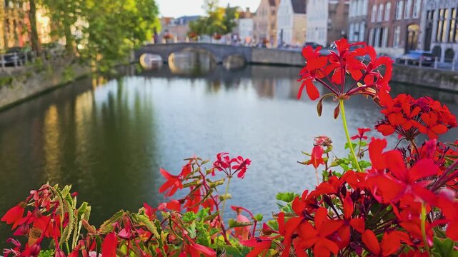 Camera reveal moving from the water surface to colorful flowers beside a tranquil canal, with trees, an old arched bridge, and charming buildings in warm evening light.