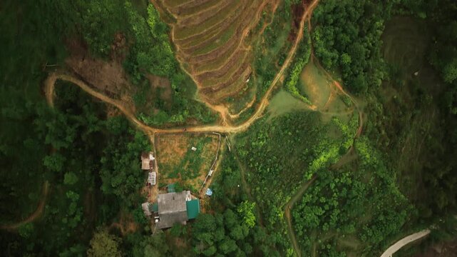 Sapa, Lao Cai Province, Vietnam - Golden Terraced Fields Ripple Across the Landscape Like Flowing Waves, Blending Earth Tones With Patches of Vibrant Green - Aerial Topdown Shot