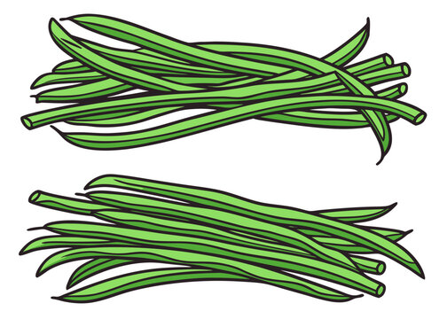 Two horizontal piles of fresh green beans with dark outlines and light green highlights are shown on a white background in a flat vector style.