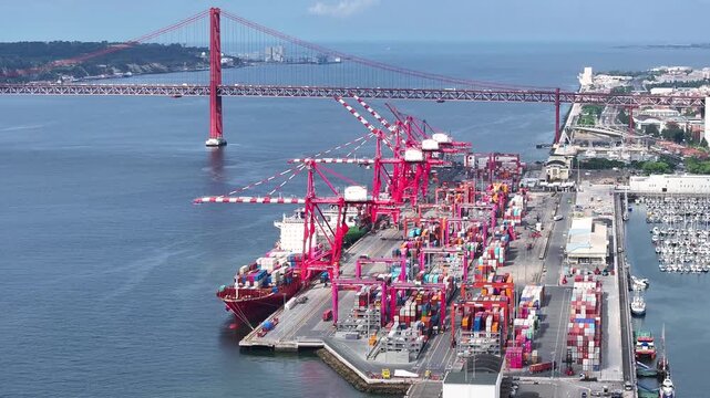 Large container ships dock at a bustling cargo port, surrounded by colorful shipping containers. The scene showcases the energy of international shipping and maritime logistics in full swing.