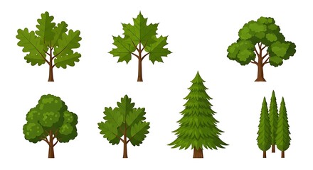 Fototapeta premium Collection of green tree illustrations.
