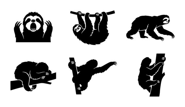 Sloth Vector Icons Set, Mammal Silhouettes for Wildlife, Nature, and Slow Living Concepts, Black and White Graphic Elements