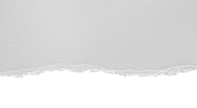 torn blank pages with uneven texture edges. set of ripped white paper sheets png isolated on transparent background. document or newspaper mockup.