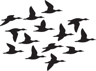 Flock of geese flying in formation © Masud