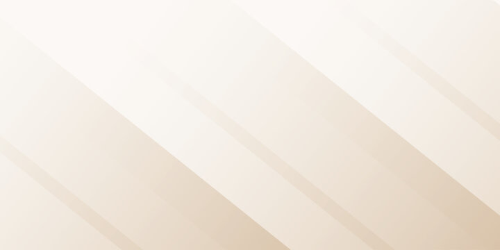 Gray abstract gradient HD background with lines. abstract white and gray line background. white abstract gradient color geometric background. Vector Line Pattern Background with White Texture .