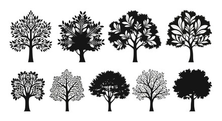 Fototapeta premium Collection of various tree silhouettes in black and white.