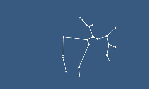 ネイビー色の背景に浮かぶ射手座の星座線のイラスト（白色）