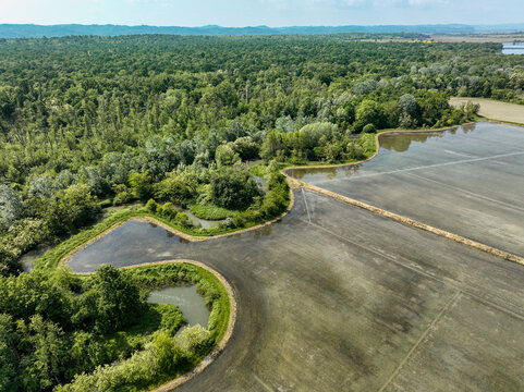 Aerial view of the Parco Naturale del Bosco delle Sorti della Partecipanza bordering flooded rice fields and lush forest in Trino, Piemonte, Italy.