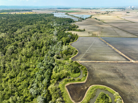 Aerial view of Parco Naturale del Bosco delle Sorti della Partecipanza bordering flooded rice fields and agricultural plains in Trino, Piemonte, Italy.