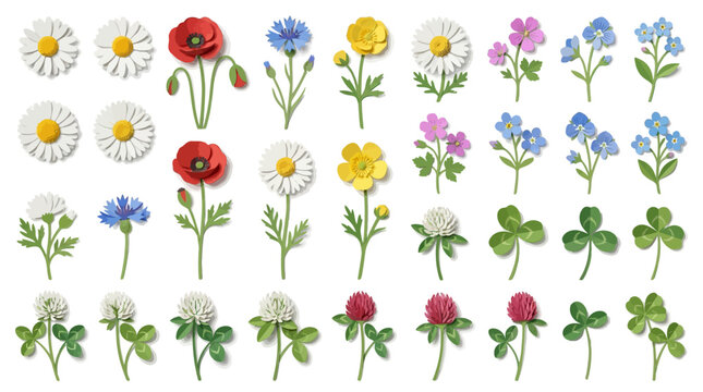 Colorful illustration of various flowers and clover on white background