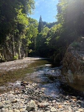 大分県、滞迫峡の柱状節理