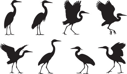 Fototapeta premium Black silhouette cranes in various poses