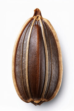 Spice macro photography with detailed cumin seed
