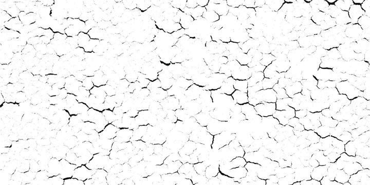 Cracked dry earth grunge  texture background with black lines on white surface for design and decoration