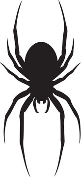 Black spider silhouette insect arachnid