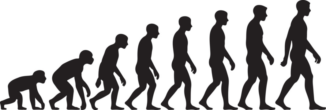 Evolution of human walking posture illustration
