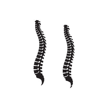 Two human spine silhouettes side by side in anatomical position