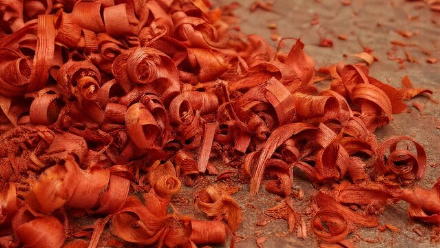 padauk. Curly, orange-red wood shavings from padauk piled on a workshop floor. safety posters, maintenance manuals, designed for precision metalworking and fabrication facilities.