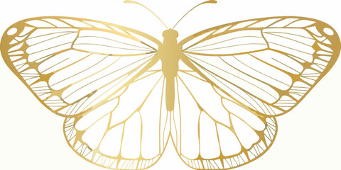 Golden butterfly silhouette on white background detailed wing patterns © gita